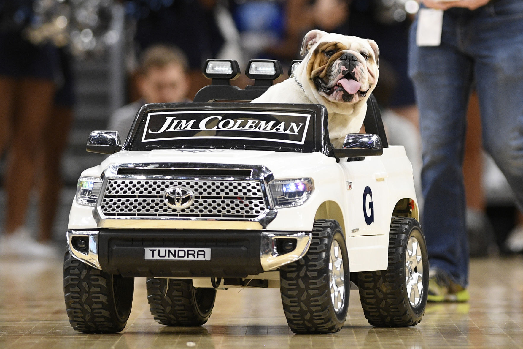 5. Bulldogs